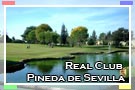 Real Club Pineda de Sevilla