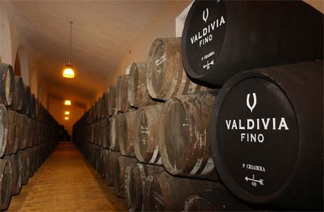 Bodegas Valdivia