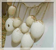 Huevos de Pascua