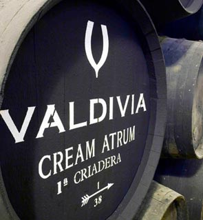 Bodegas Valdivia