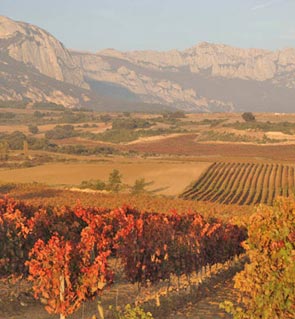 Ruta del Vino de La Rioja Alavesa