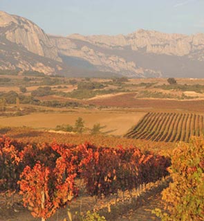 DÓNDE COMER: LA LAUREL - LOGROÑO, LA CIUDAD DEL VINO (2)