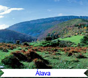 Álava