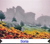 Soria