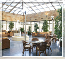 Salón Pirámide hotel Villamadrid
